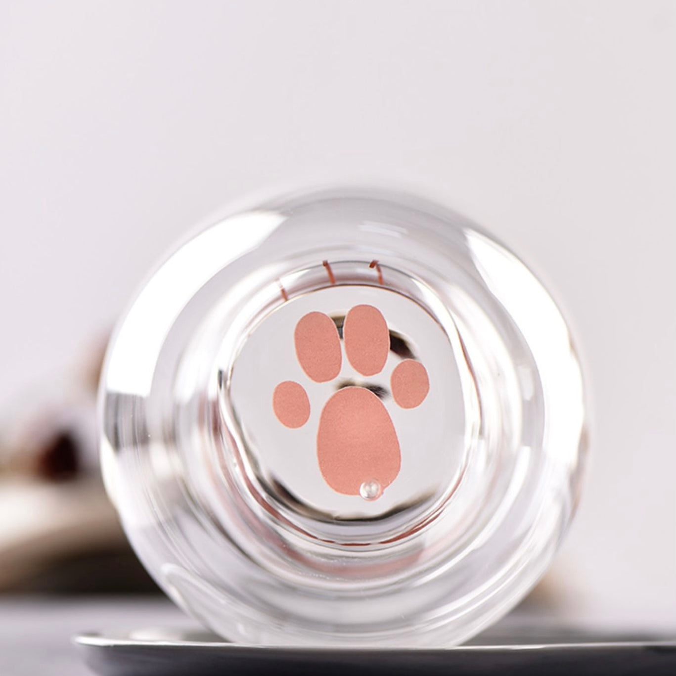 Cute Cat Paw Heat Resistant Double Layered Glass Cup