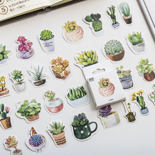 Mini Cactus Succulent Plant Illustration Scrapbooking Box Sticker - Peachymart